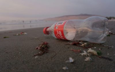 Raskrinkavanje Koka-Kolinog Zero Waste Cities programa