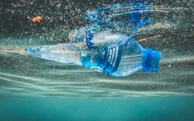 Evropski parlament je zabranio upotrebu jednokratne plastike