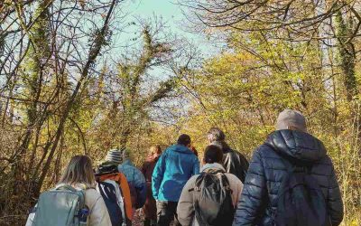 Studijska posjeta “Sva zemlja teži da postane šuma”