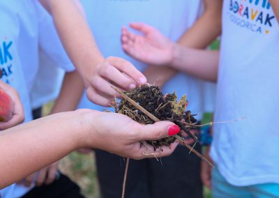 Advancing the Zero Waste Cities Agenda