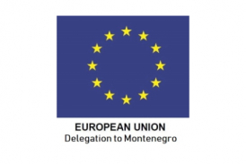 EU-Delegation
